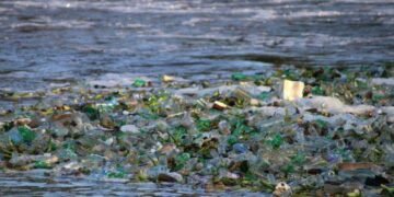 Gov’t commemorate World Environment Day with strong call to reduce plastic pollution