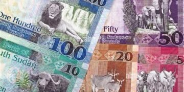 Economist advises finance ministry on steps to solve cash shortage