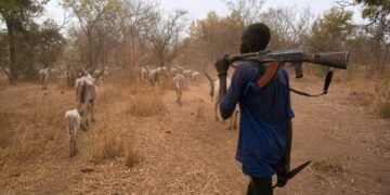 Deadly Cattle Raid in Mogiri: 10 Killed, Dozens Injured in Attack on Cattle Traders