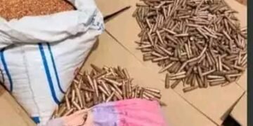 Rounds of ammunitions seized from a woman | courtesy photo.
