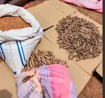 Rounds of ammunitions seized from a woman | courtesy photo.