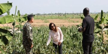 UNMISS partners with university to combat food insecurity