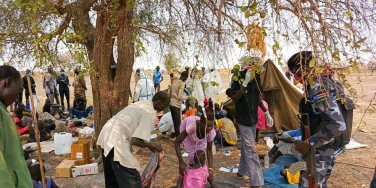 Cholera outbreak kills four in Torit, Eastern Equatoria State