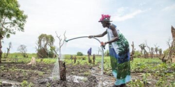Japan funds climate resilience project in South Sudan
