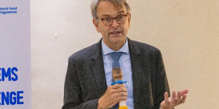 Germany urges South Sudan to plough civic space, tackle insecurity