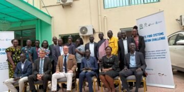 Eleven ventures wins half a million dollars at WFP ignite food systems challenge