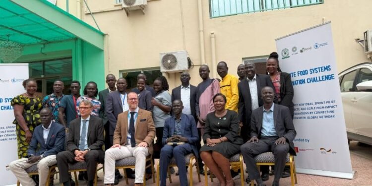 Eleven ventures wins half a million dollars at WFP ignite food systems challenge