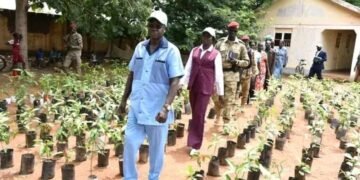 Government launches tree planting exercise in Warrap state