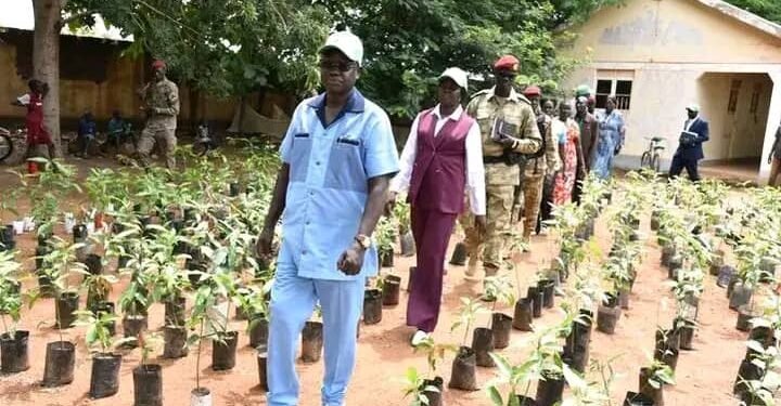 Government launches tree planting exercise in Warrap state