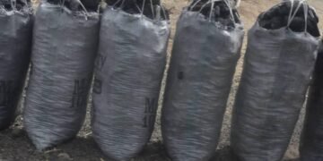 Seminary allows students to pay fees with charcoal, goats, chickens and farm produce in Yambio