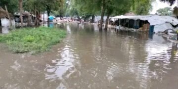 Over 200 households displaced by floods in Pibor