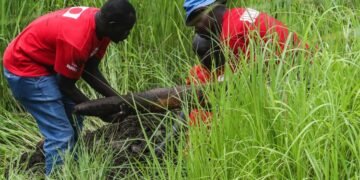 Japanese Government pledges $2.2million to help South Sudan’s eliminate landmines