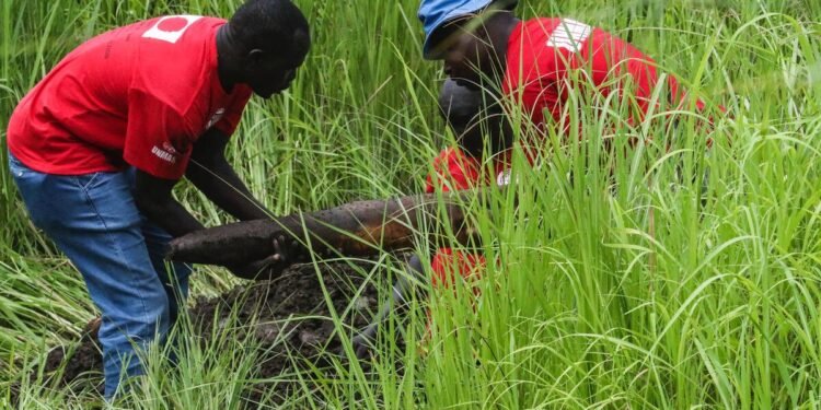 Japanese Government pledges $2.2million to help South Sudan’s eliminate landmines