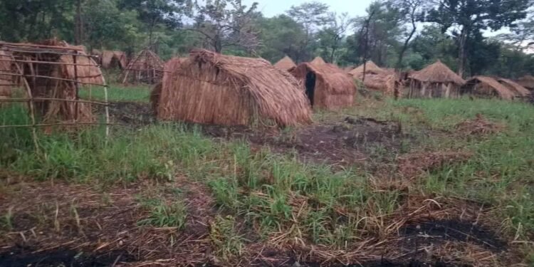 Ibba County on brink of humanitarian crisis as Maruko IDPs plead for urgent Aid