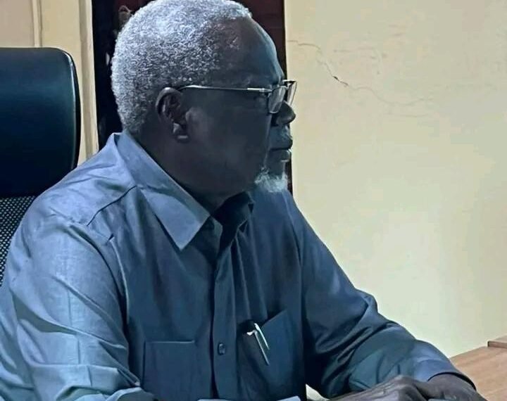 WFP, Jonglei state government partners to launch infrastructural development in the state