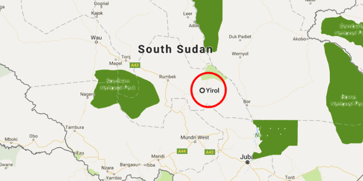 7 killed, 5 wounded in Yirol East County