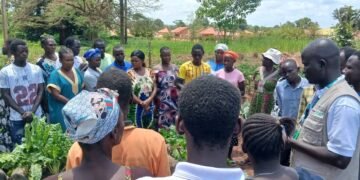 Over 500 Yambio Farmers Embrace Modern Farming Techniques in Push to Boost Food Production