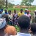 Over 500 Yambio Farmers Embrace Modern Farming Techniques in Push to Boost Food Production