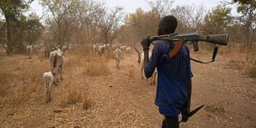 49 Killed, 33 Wounded in Brutal Attack on Tonj North Cattle Camp
