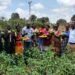 Yambio Demo Farm Shows How Local Methods Can Boost Vegetable Production and Food Security