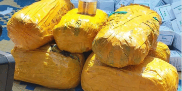 Police Confiscate over 600 cartons of illegal substances in NBGs