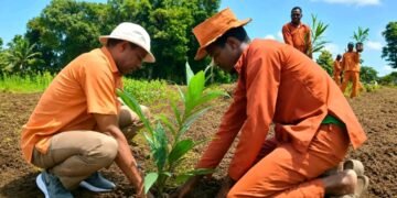 From Tractors to Food Security: Azande Kingdom Machinery Project Tests South Sudan’s Agricultural Potential
