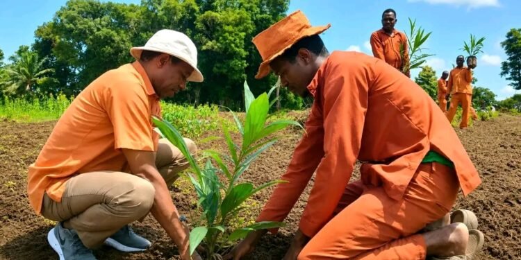From Tractors to Food Security: Azande Kingdom Machinery Project Tests South Sudan’s Agricultural Potential