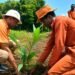 From Tractors to Food Security: Azande Kingdom Machinery Project Tests South Sudan’s Agricultural Potential