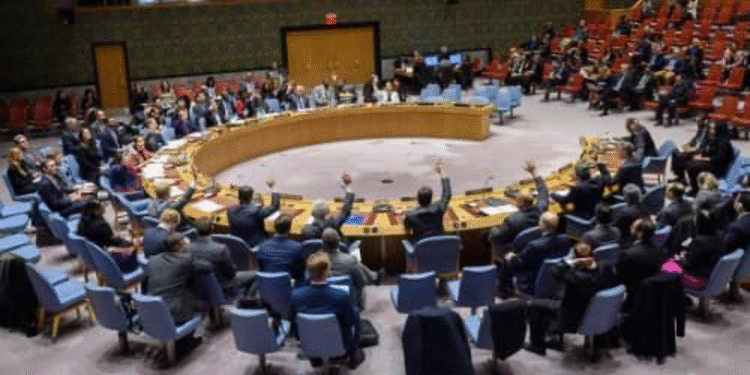 UN Security Council demands probe into deadly UNMISS attack in Jonglei