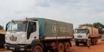 Japan $2.2M Grant Rescues WFP South Sudan Malnutrition Response