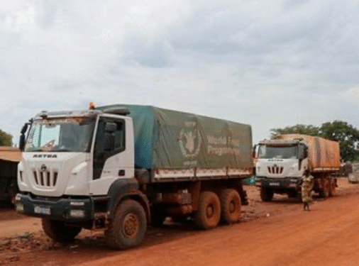 Japan $2.2M Grant Rescues WFP South Sudan Malnutrition Response
