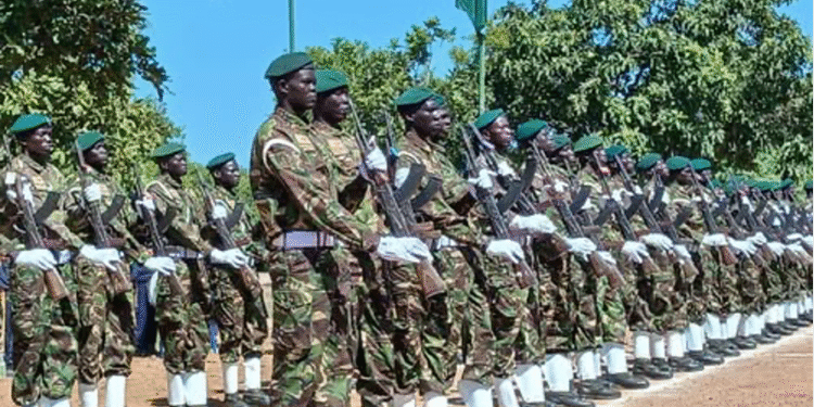 50 wildlife rangers graduate to boost anti-poaching efforts in Badingilo Park