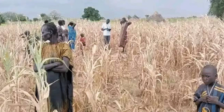 South Sudan urged to Act as drought threatens food security