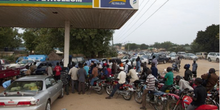 Reform Committee calls for fuel price Cuts